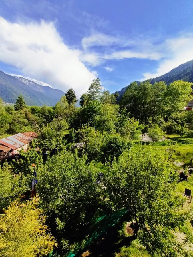 Rashpa Cottage Manāli Εξωτερικό φωτογραφία